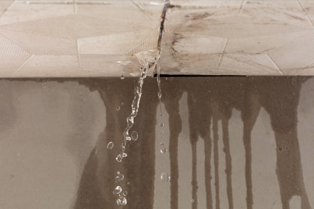 Professional Flood Damage Cleanup technician working in Townville, SC